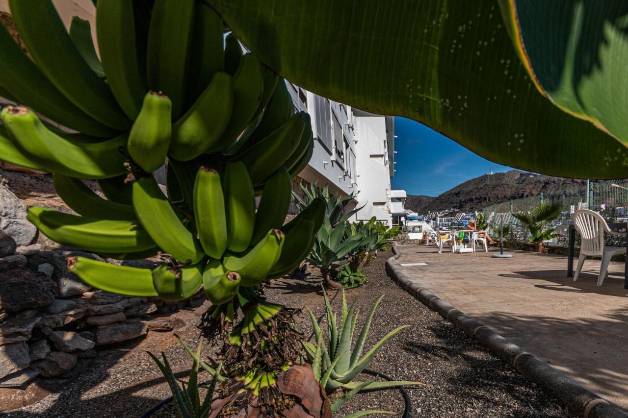 Your Happy Place Puerto Rico With Ac Esterno foto